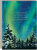 Search the Skies Holiday Card