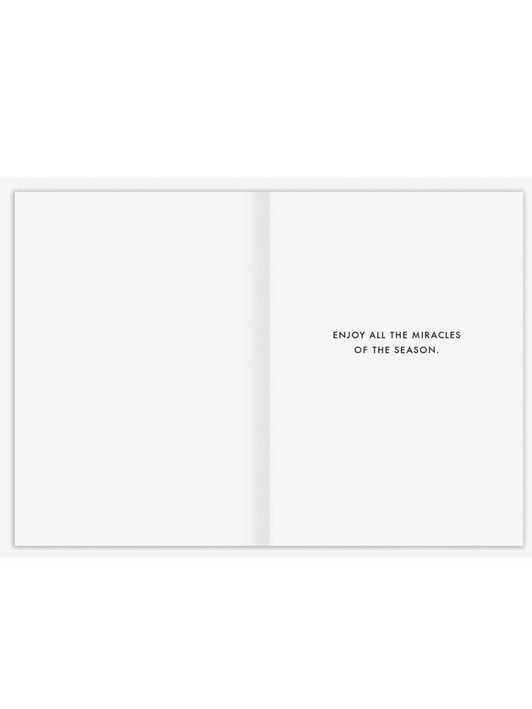 Search the Skies Holiday Card