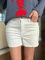 Judy Blue High Waisted Rainbow Stitch Shorts