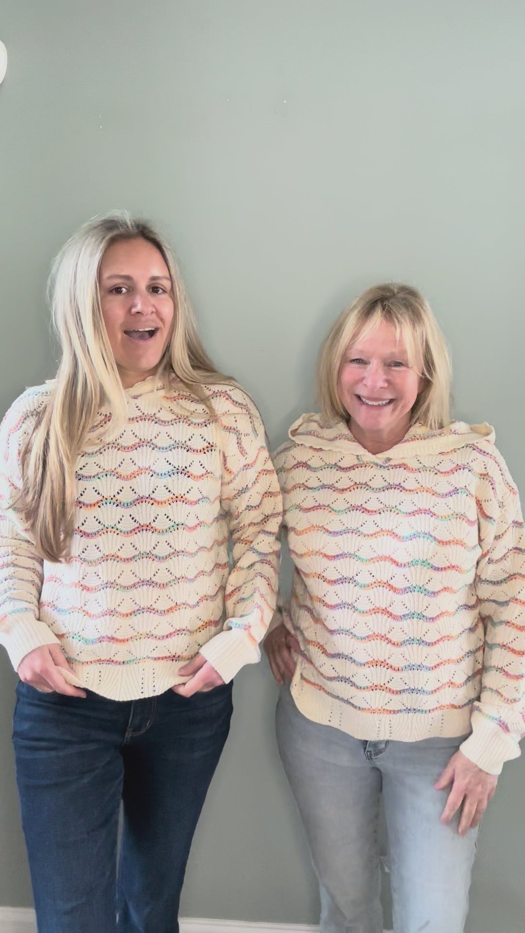 Multicolor Pointelle Stitch Sweater Hoodie