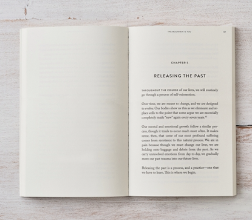 The Mountain Is You Book - Wild Magnolia