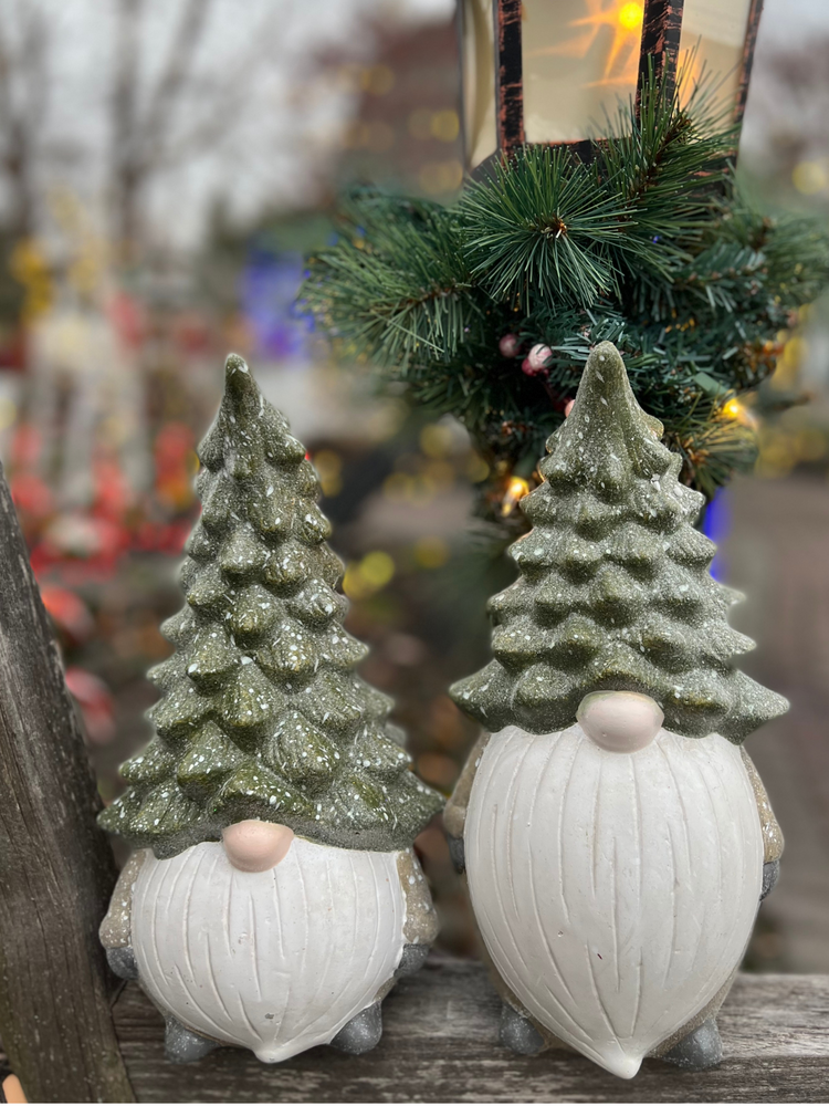 Winter Gnomes with Evergreen Hats