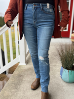 Judy Blue Hi-Waisted Dandelion Embroidered Skinny Jeans - Wild Magnolia